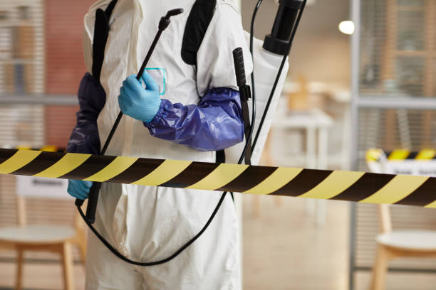 Professional Sewage Cleanup technician working in Rockville, CT